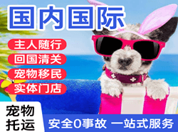 嘎洒空运公司国际宠物托运 【国